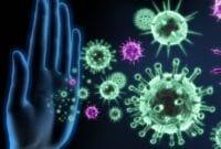 Attachment for 5 Makanan yang Menurunkan Daya Tahan Tubuh, Jangan Dikonsumsi Lagi