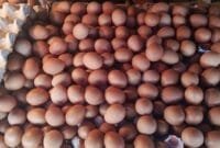 Attachment for Konsumsi 10 Makanan Ini tuk Jaga Kesehatan Jantung,Cocok Bagi Penderita Kolesterol