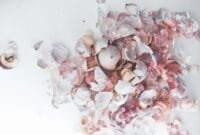 Attachment for Sudah Mau Setahun Saya Tidak Lagi Membuang Kulit Bawang