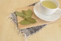 Attachment for Manfaat Air Rebusan Daun Salam Untuk Penyakit Apa Saja? Ini Penjelasannya